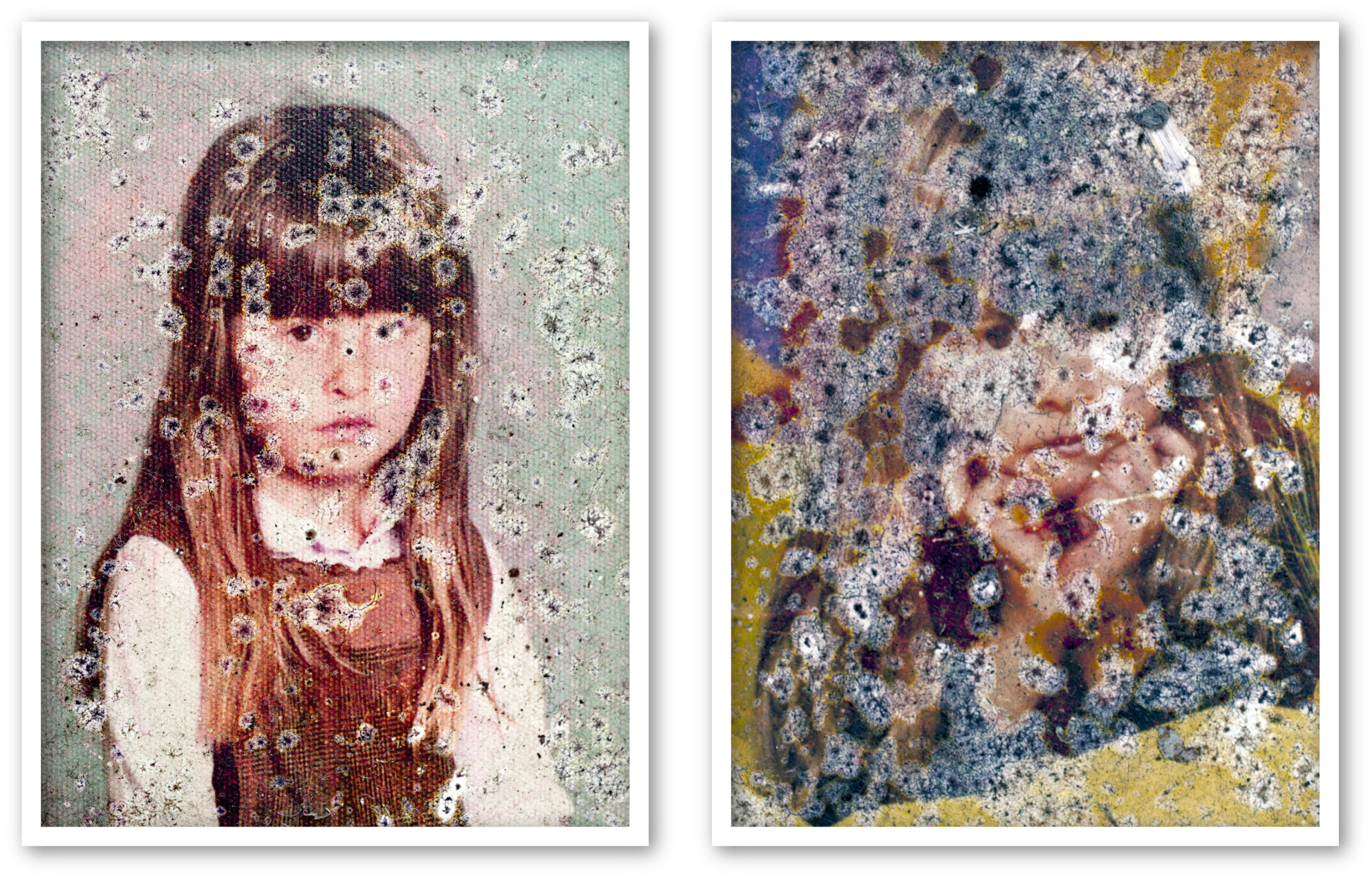 stardust - Martin Ogolter